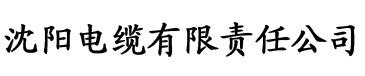 亚洲欧美日韩精品一区二区三区在线电缆厂logo